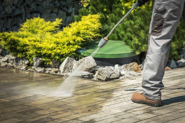Best Gutter Cleaning and Brightening in Sto Brook University, NY