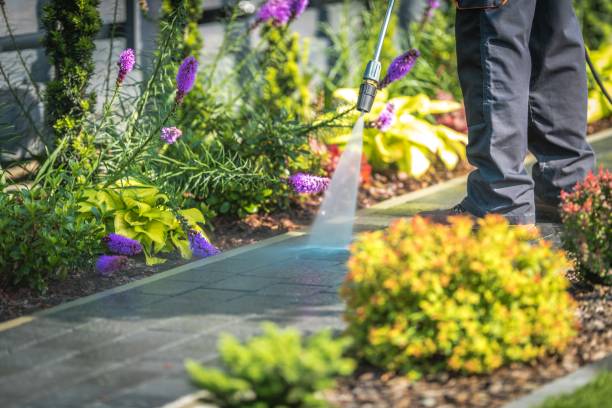Professional Pressure Washing Services in Stony Brook University, NY