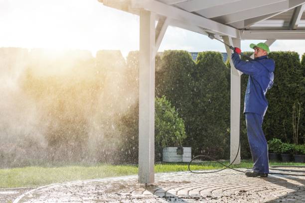 Best Soft Washing for Delicate Surfaces in Sto Brook University, NY